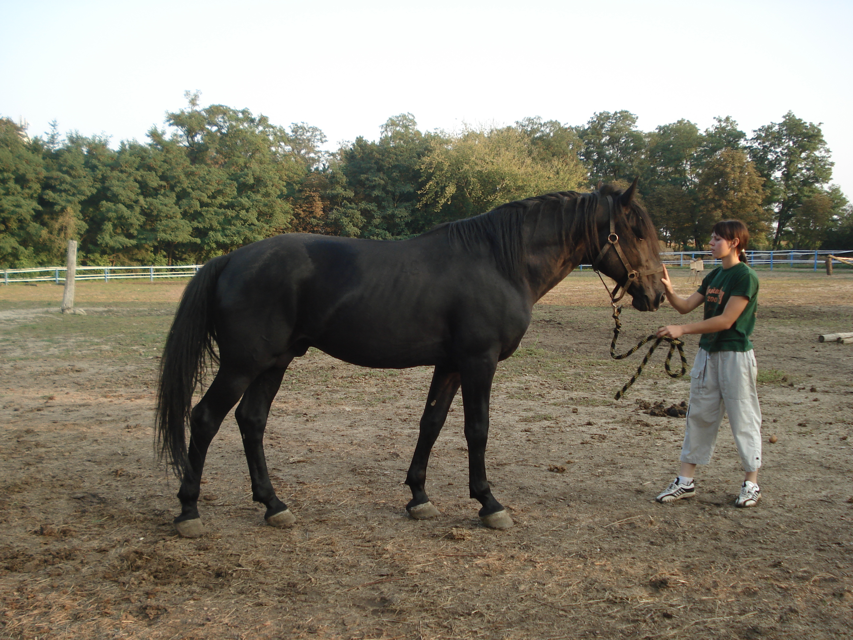 DSC07327.JPG