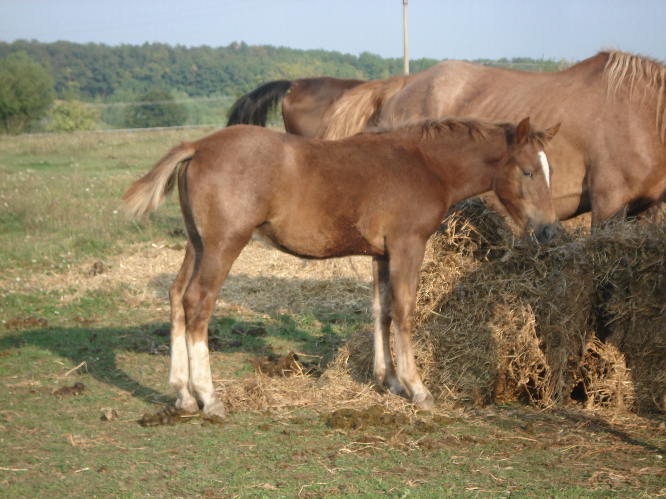 DSC07282.JPG