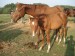 DSC07294.JPG