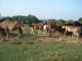 DSC07306.JPG